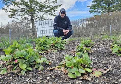 Food sovereignty project continues to grow